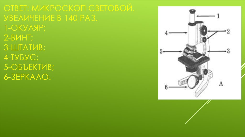 Рассмотри рисунок светового микроскопа ответь на вопросы