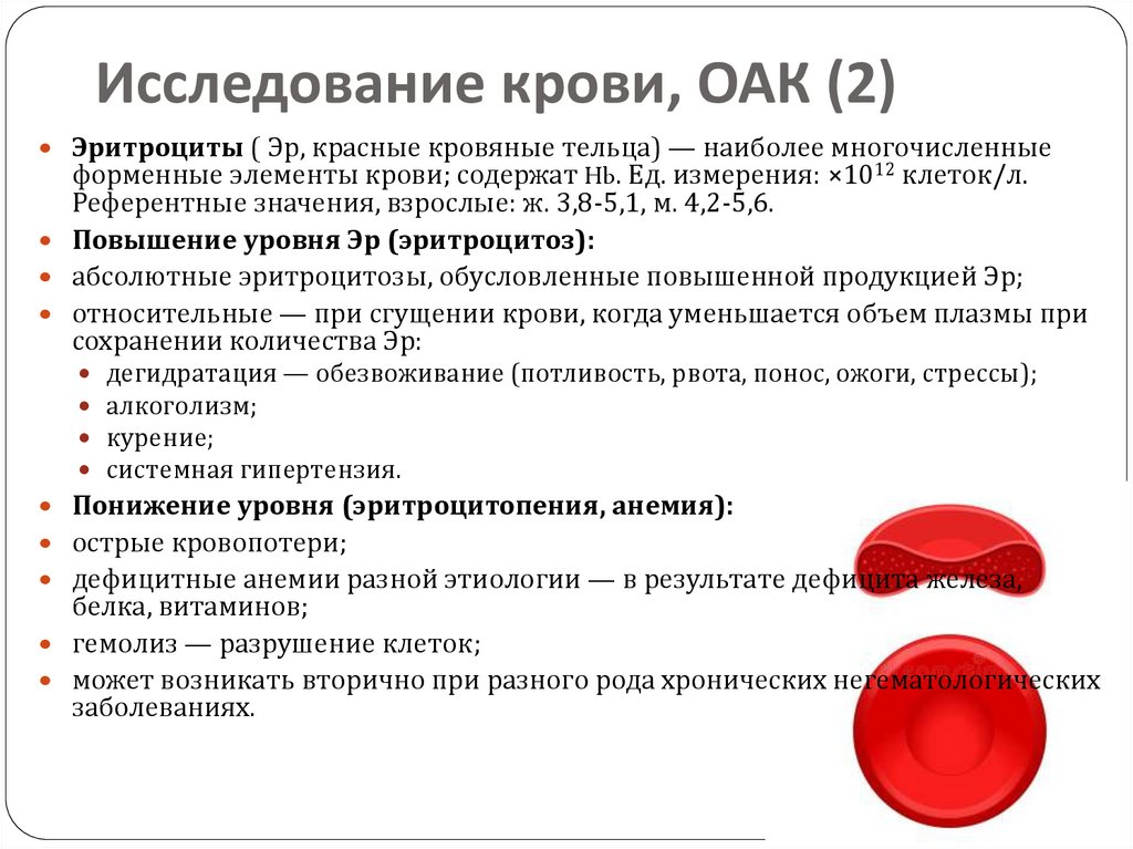 Исследование крови, ОАК (2)