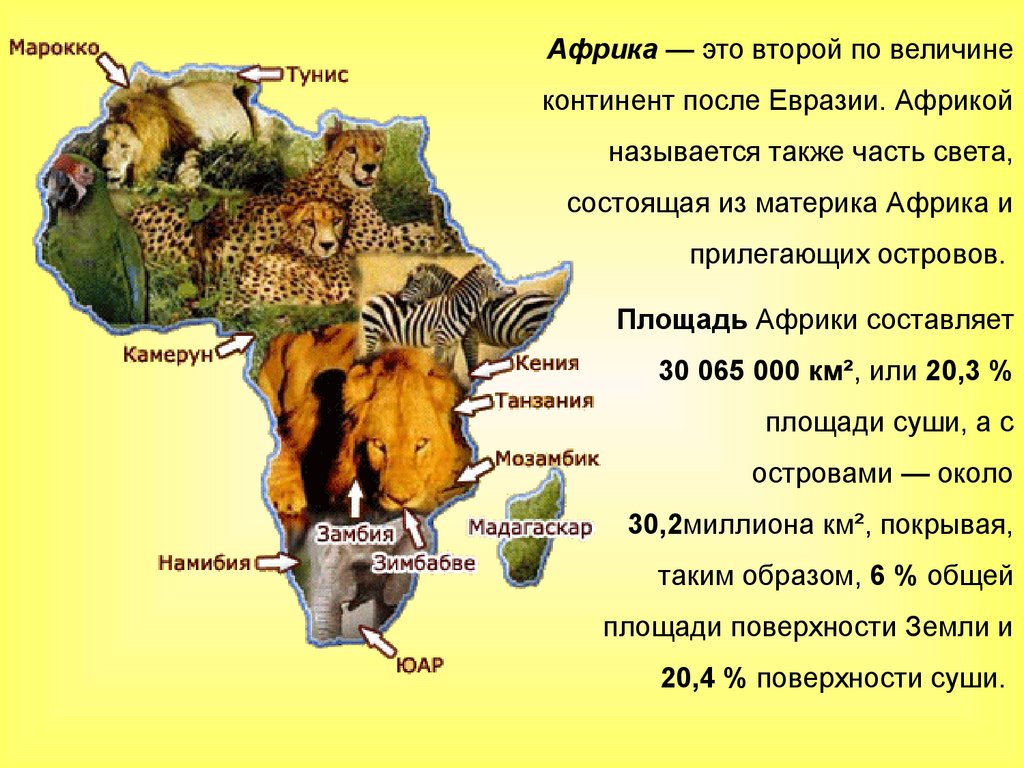 Африка образ материка презентация 7 класс полярная звезда