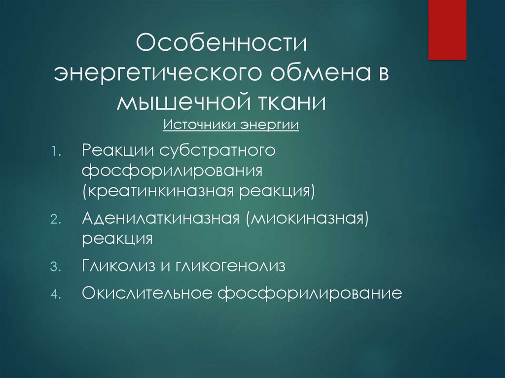 Особенности энергетического обмена веществ