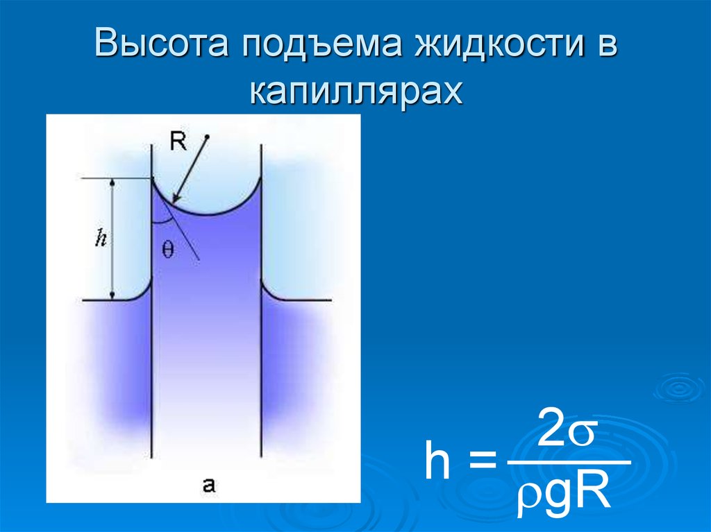 Высота капилляра. Высота полнятияжидкости в каппиляре. Высота подъема жидкости в капилляре. Поднятие жидкости в капилляре. Высота поднятия жидкости в капилляре формула.