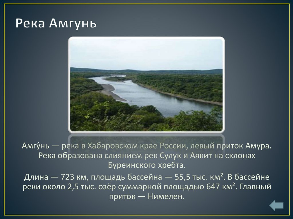 Режим реки амур