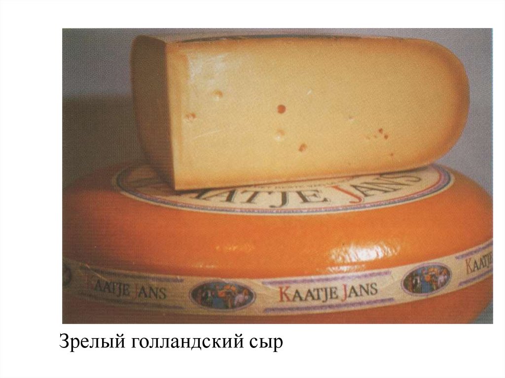 Зрелый голландский сыр