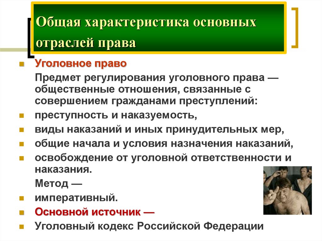 Характеристика уголовного законодательства российской федерации. Охарактеризуйте уголовное право.