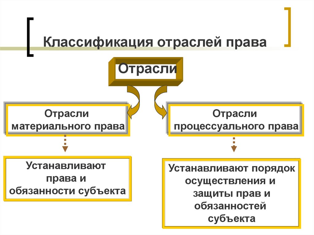 Презентация по обществознанию 10 класс процессуальные отрасли права боголюбов