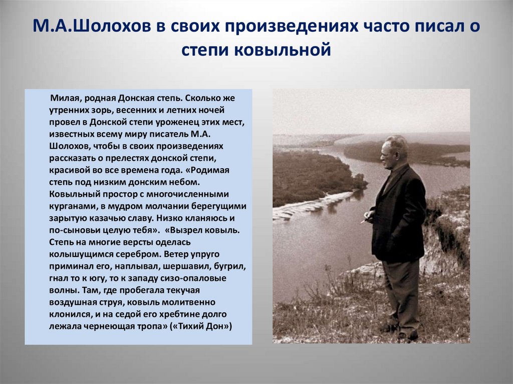 В описании картины жизни степной природы вплетаются эпизоды со встречными на пути людьми какую роль