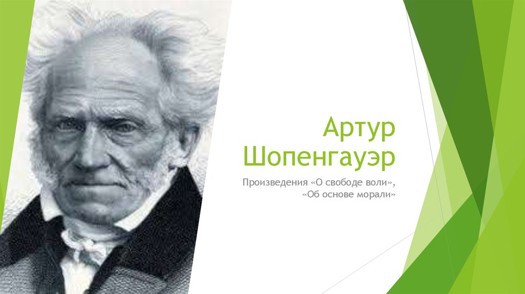 Шопенгауэр о свободе воли. Артур Шопенгауэр. Артур Шопенгауэр произведения. Шопенгауэр критика. Шопенгауэр о свободе.