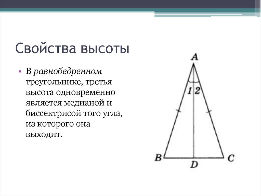 Отношение частей высоты. Высота треугольника свойства в равнобедренном треугольнике. Ввычота в равнобедренном треугольнике. Ввсоты в ранобедренном треугольника. Ыфсчота в равнобендренном треуголнике.
