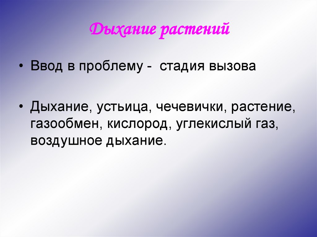 Дыхание растений презентация университет