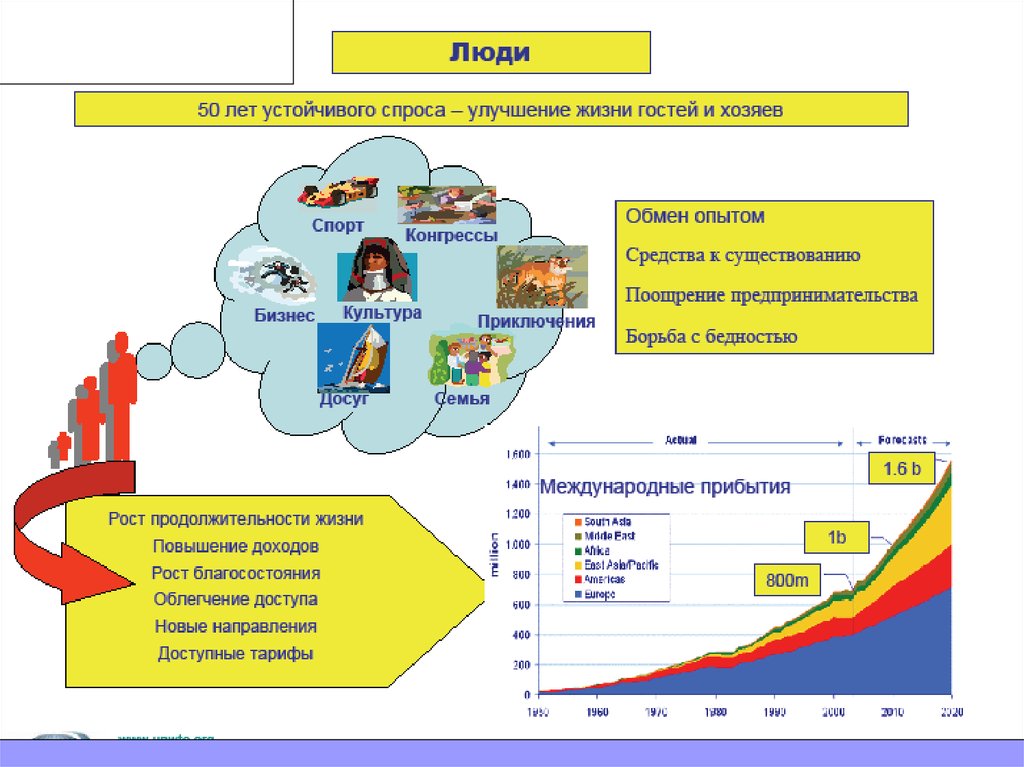 Какие основные рекреационные приложения www