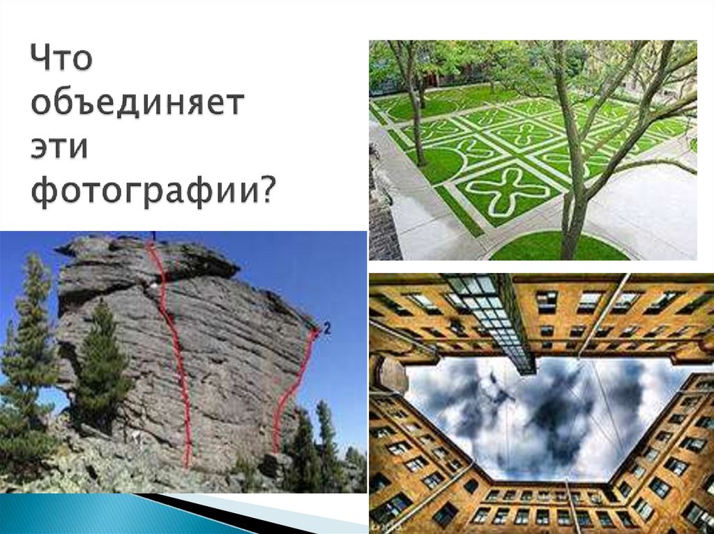 Что объединяет эти фотографии?