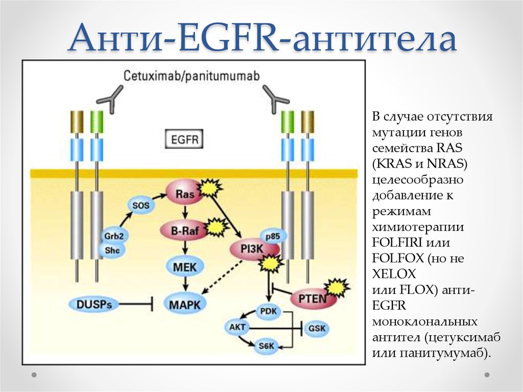 Хт по схеме xelox