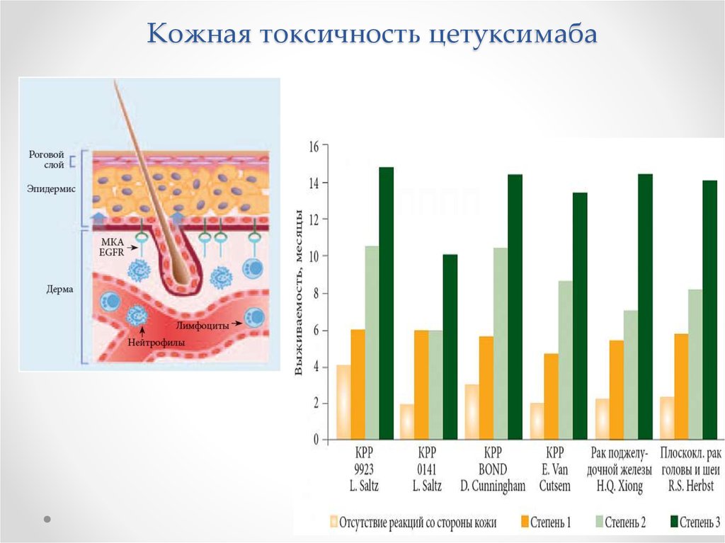 Токсичность тканей