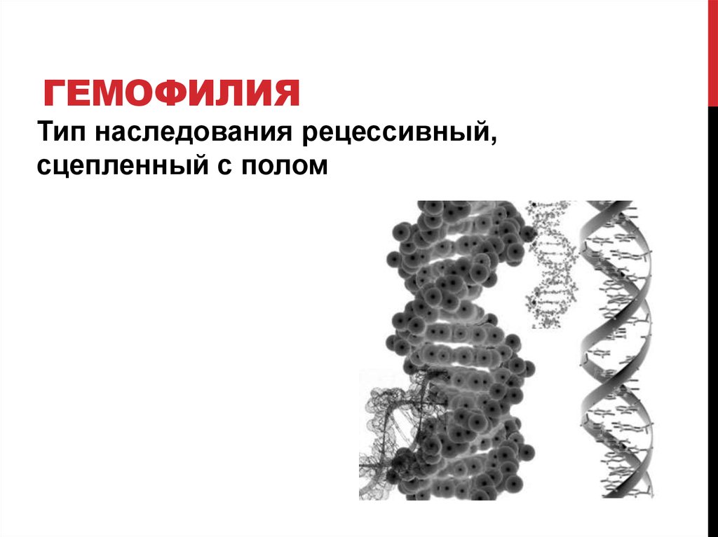 Гемофилия презентация терапия