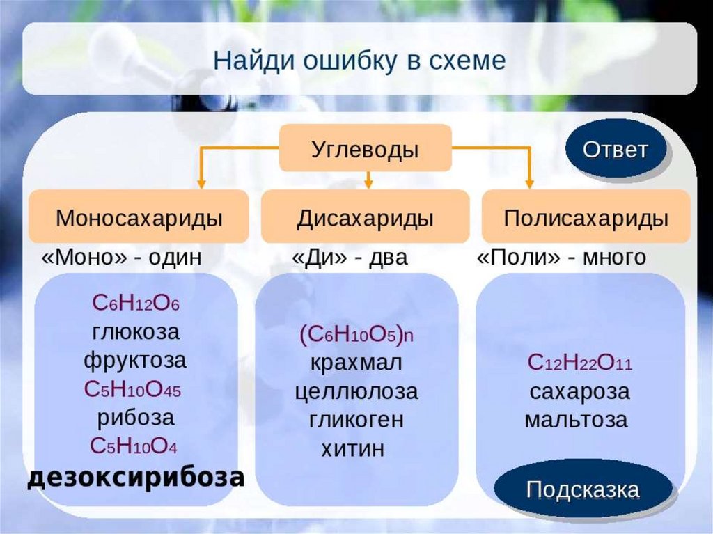 Презентация по химии дисахариды и полисахариды