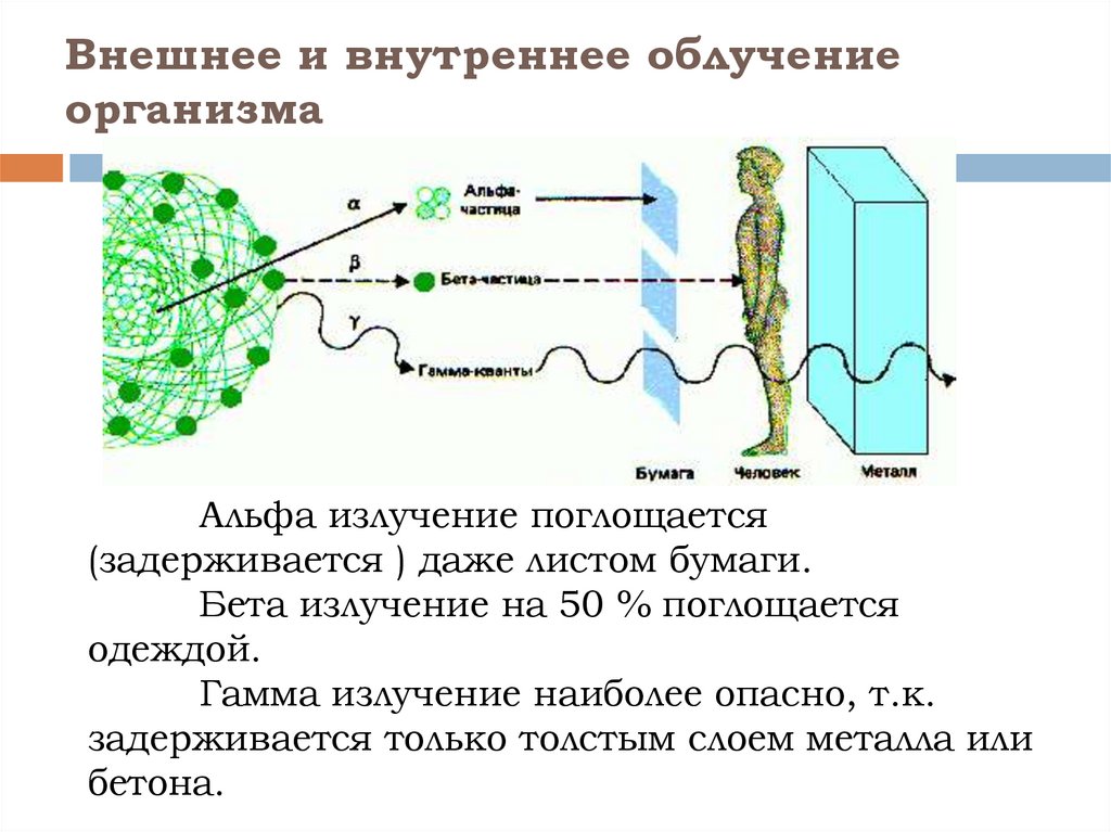 Какое излучение наиболее опасно при внутреннем облучении