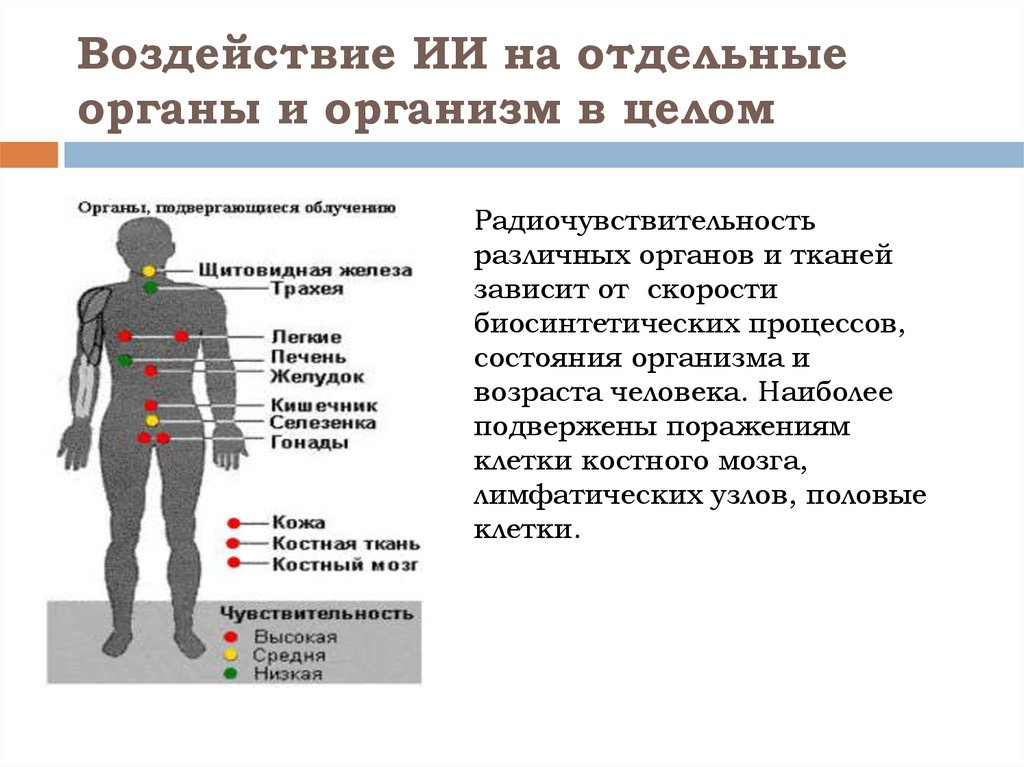 Радиация кожи. Влияние фактора на организм ионизирующего излучения. Воздействие ионизирующих излучений на человека. Воздействие ионизирующего излучения на организм. Действие ионизирующих излучений на организм человека.