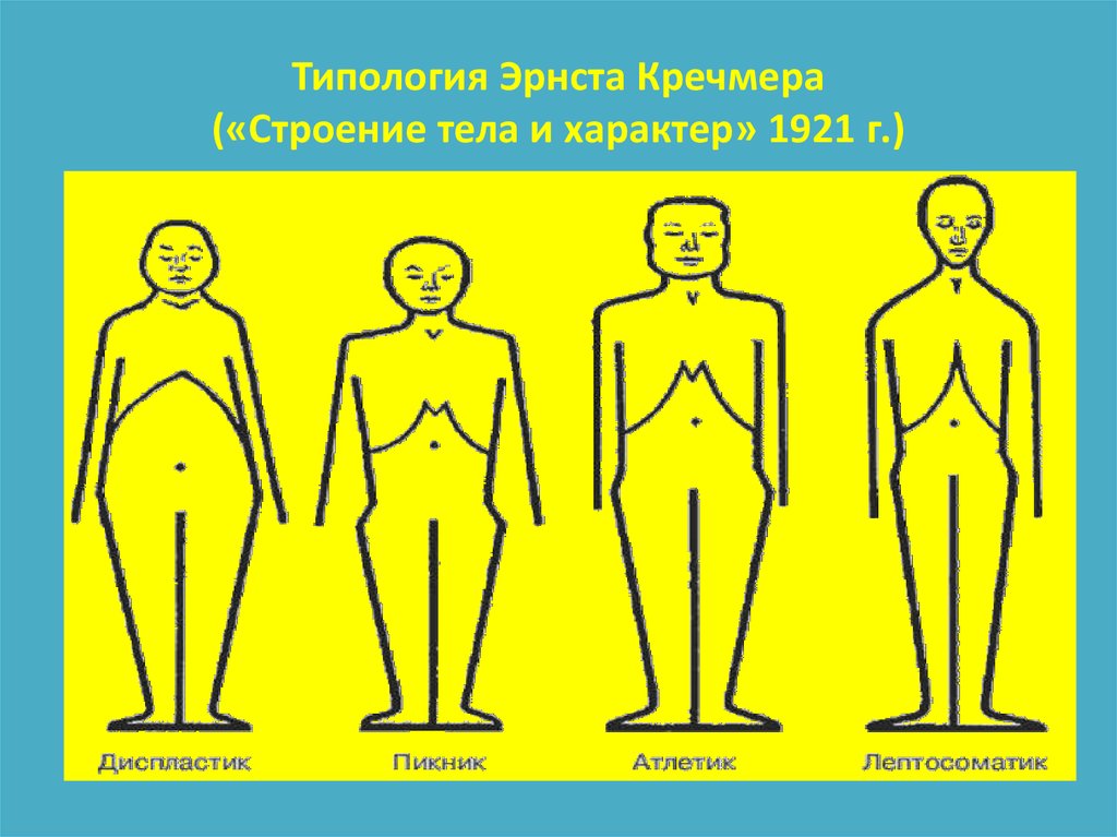 Психосоматические конституциональные схемы э кречмера и у шелдона