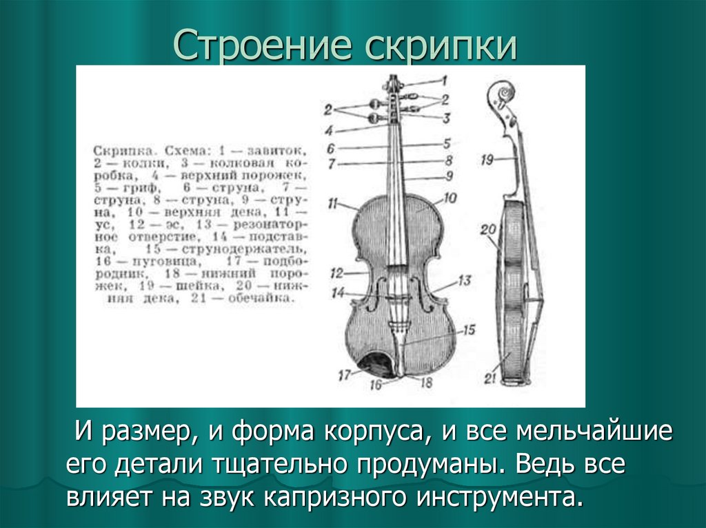 Схема скрипки