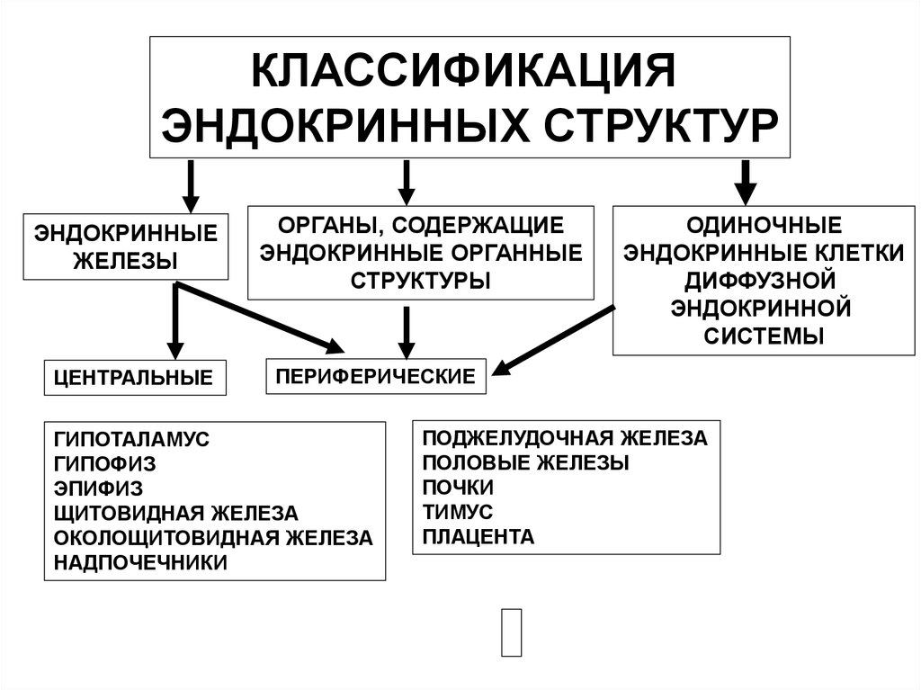 Классификация органов анатомия. Классификация желез внутренней секреции физиология. Классификация заболеваний органов эндокринной системы. Классификация желез внутренней секреции анатомия. Классификация желез внутренней секреции схема.