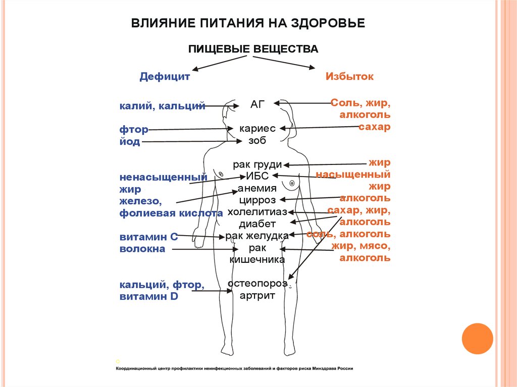 6 тел человека