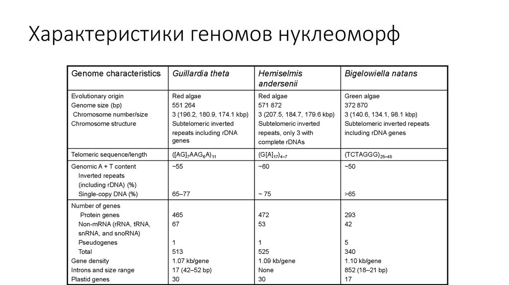 Rdna 2 характеристики