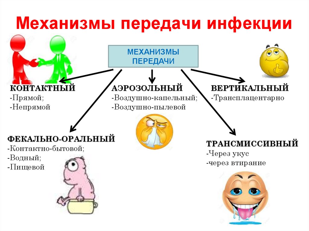 Выберите механизмы передачи инфекций