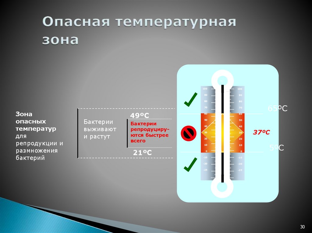 Температура зона