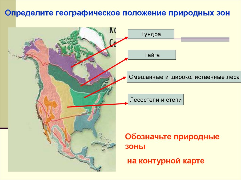 Природные зоны северной америки презентация. Степи Северной Америки карта. Природные зоны Северной Америки. Карта природных зон Северной Америки. Географическое положение природной зоны Северной Америки.
