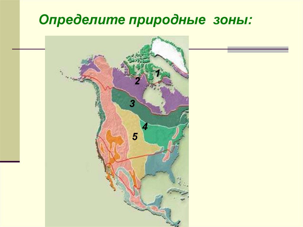 Большую часть северной америки занимает природная зона. Природные зоны Северной Америки 7 класс географическое положение. Карта природных зон Северной Америки. Природные зоны Северной Америки контурная карта. Карта природных зон Америки.