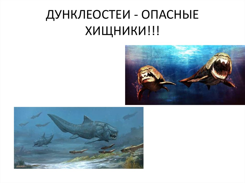 ДУНКЛЕОСТЕИ - ОПАСНЫЕ ХИЩНИКИ!!!