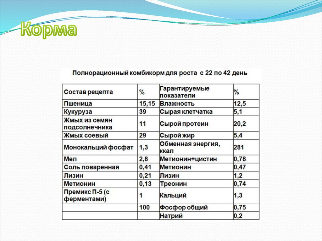 Корма