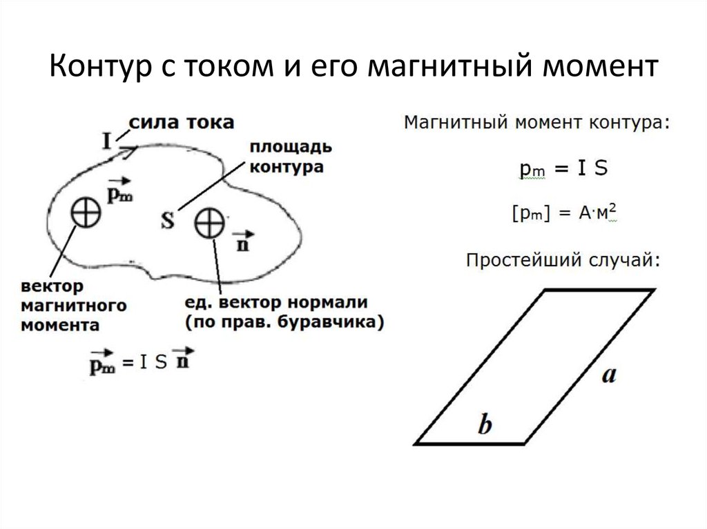 Рамка с током с магнитным дипольным моментом направление которого указано на рисунке