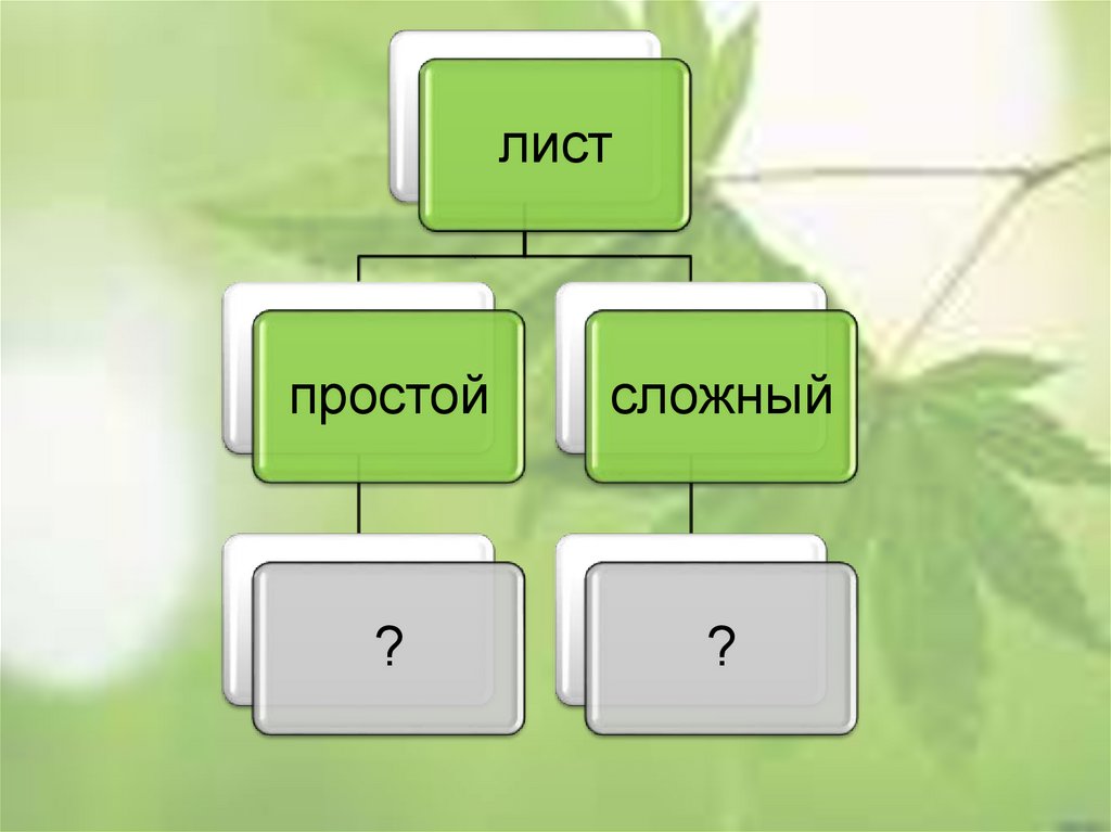 Размеры листа для презентации