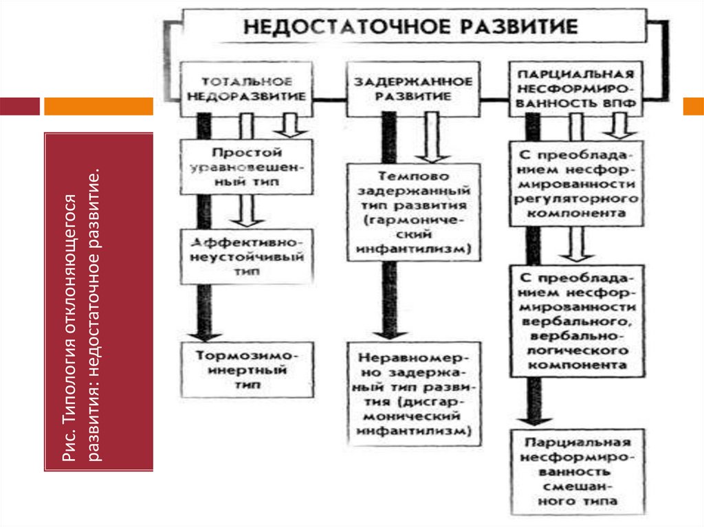 Недостаточное развитие схема