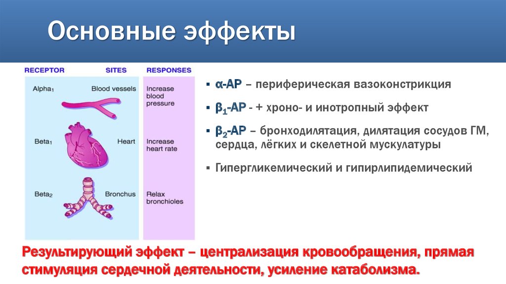 Основные эффекты