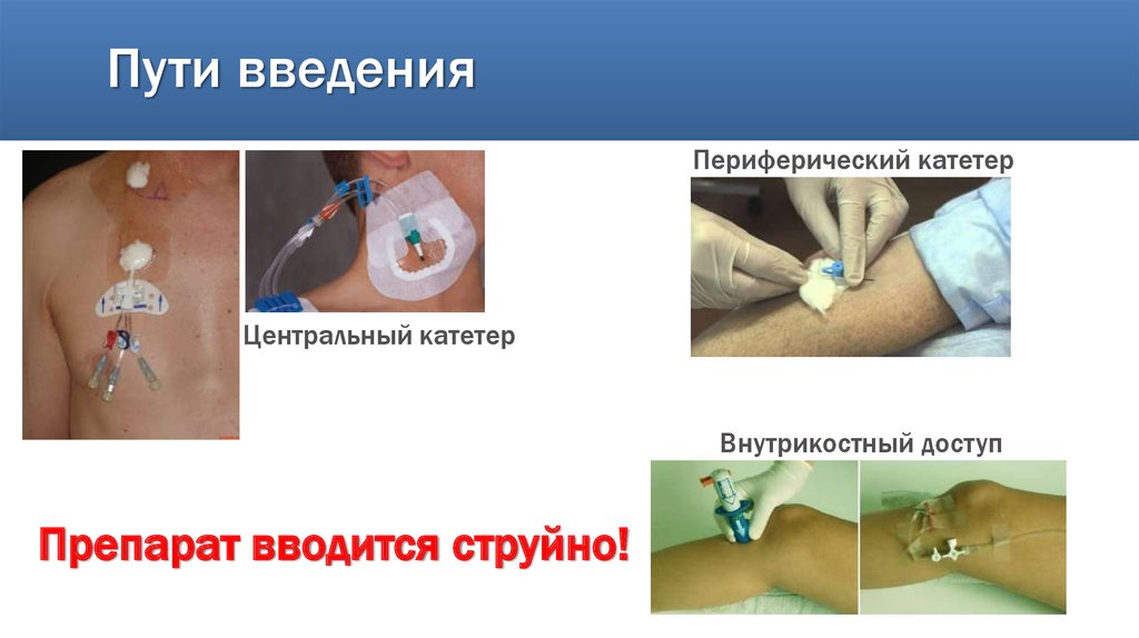 Пути введения