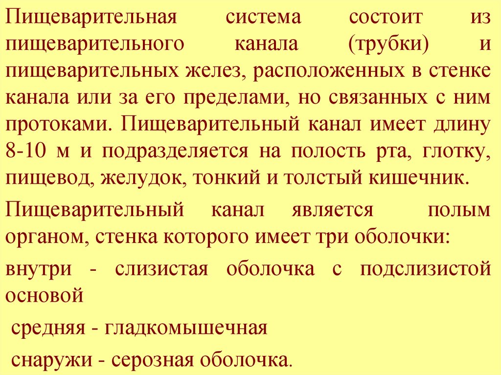 Физиология пищеварения тест. Пищеварительный канал имеет длину в пределах. Пищеварительный канал живого человека имеет длину в пределах. Пищеварительный канал состоит из. Какую длину имеет пищеварительный канал.