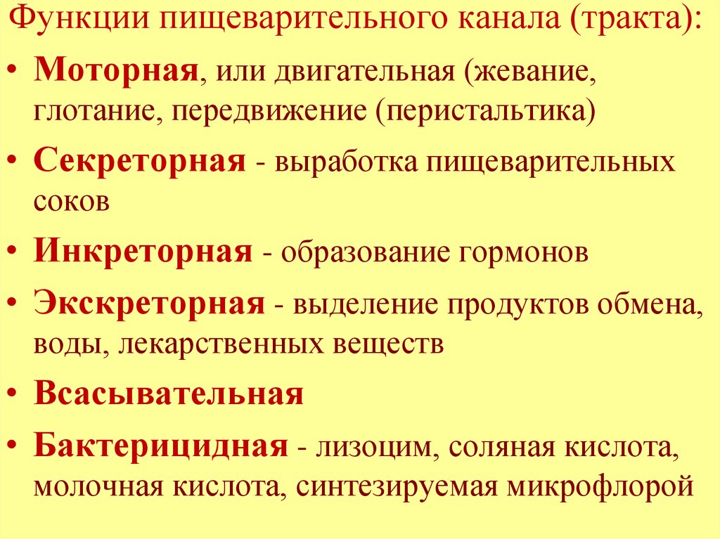 Функции пищеварения. Функции пищеварительного канала. Функции пищеварительного тракта. Бактерицидная функция пищеварительной системы. Моторная функция пищеварительной системы.