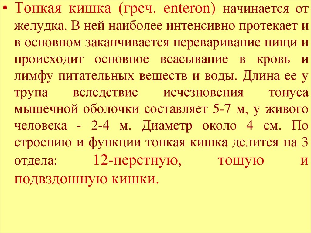 Заканчиваться основной. Элидел всасывается в кровь.