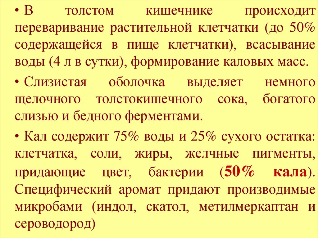 Содержащих 50. Образование метилмеркаптана в кишечнике. В какой кишке происходит переваривание растительной клеткачке. Необходимые условия в кишечнике для оптимального переваривания таг.