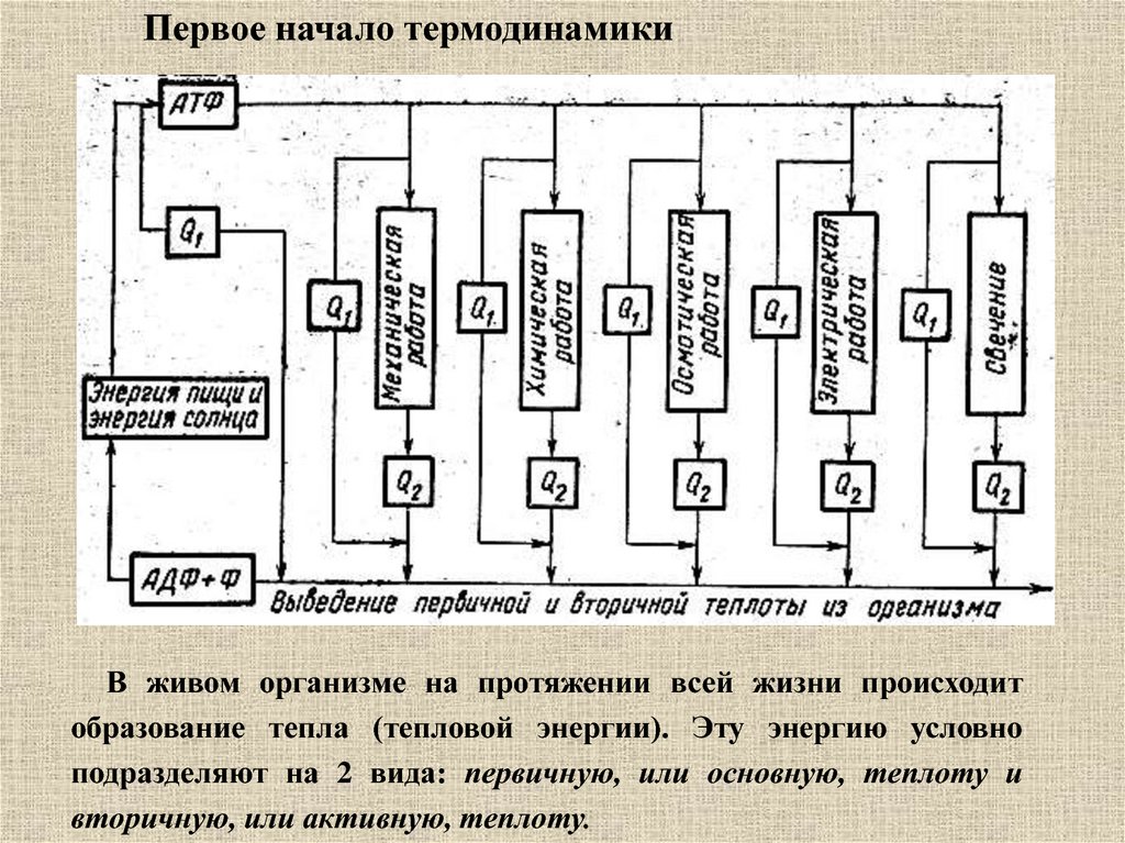 Схема распределения энергии термодинамики