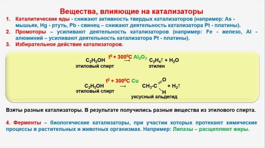 Катализатор ускоряет прямую и обратную реакцию