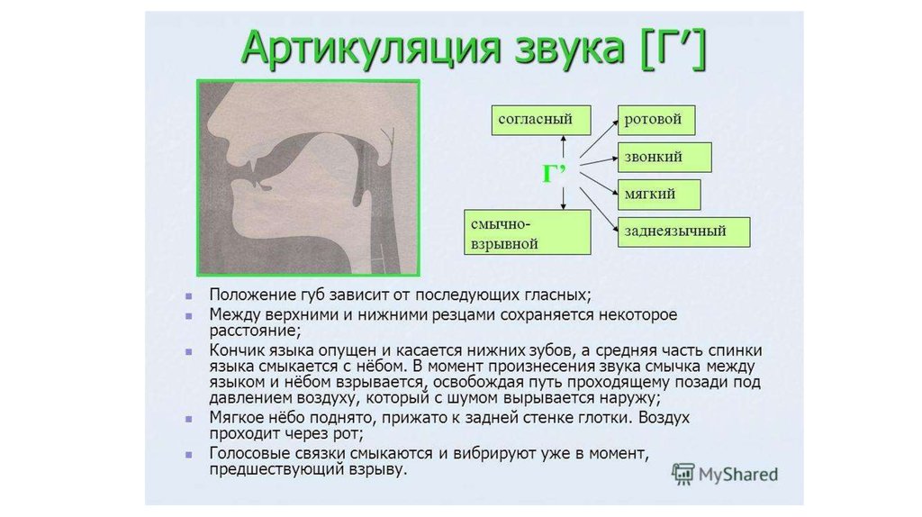 Артикуляция согласных звуков в картинках