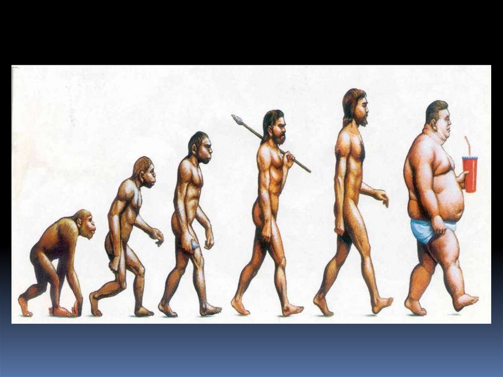Процесс превращения человека в обезьяну. Эволюция человека хомо сапиенс. Эволюция человека до хомо сапиенс. Этапы эволюции человека,хомо сапиенс. Эволюция человека от обезьяны до человека хомо сапиенс.