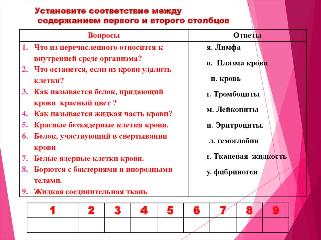 Установите соответствие между 2 столбцами