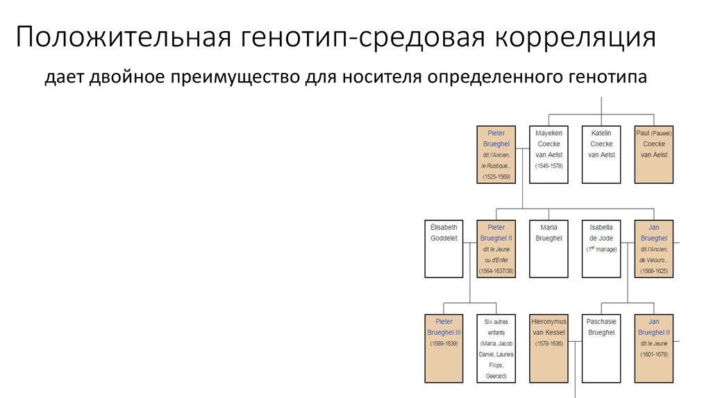 Взаимодействие генотипа и среды презентация