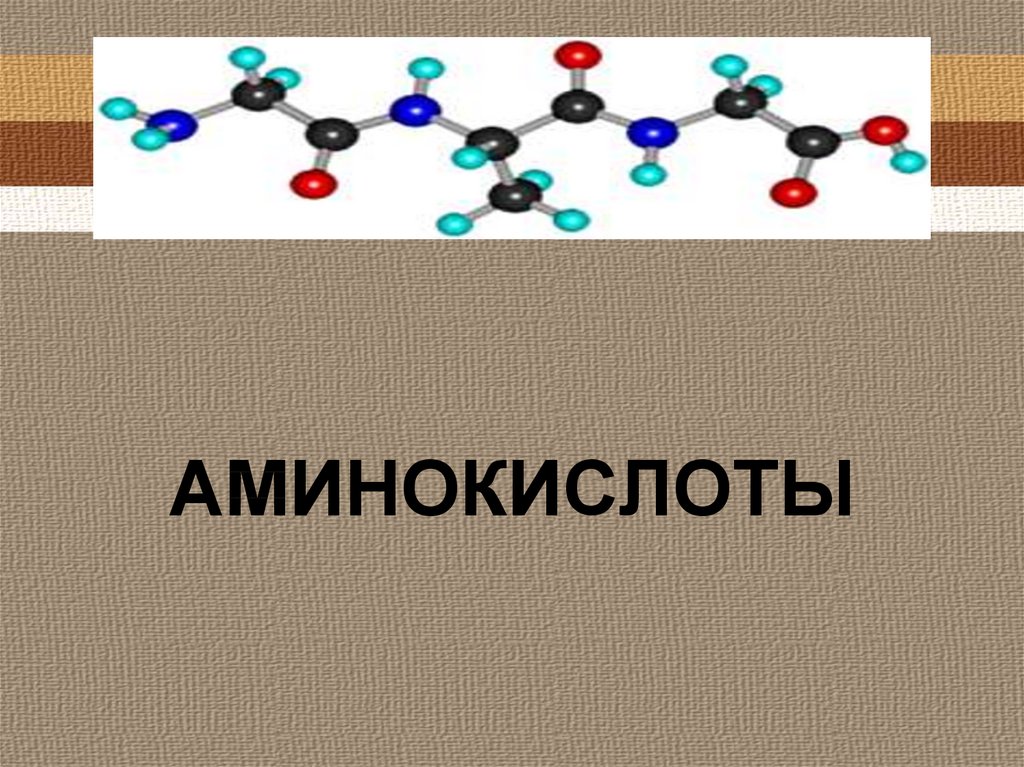 Презентация про аминокислоты