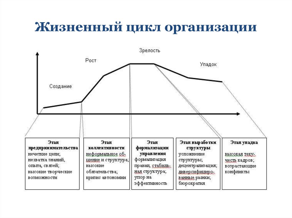 Жизненный цикл экономика. Стадия (фаза) жизненного цикла предприятия. Охарактеризуйте стадии жизненного цикла организации. Характеристика основных этапов жизненного цикла организации. Стадия жизненного цикла организации зрелость это.
