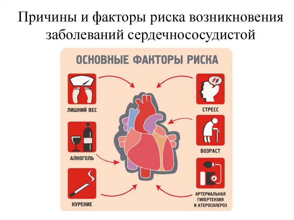 Факторы риска ссз картинка